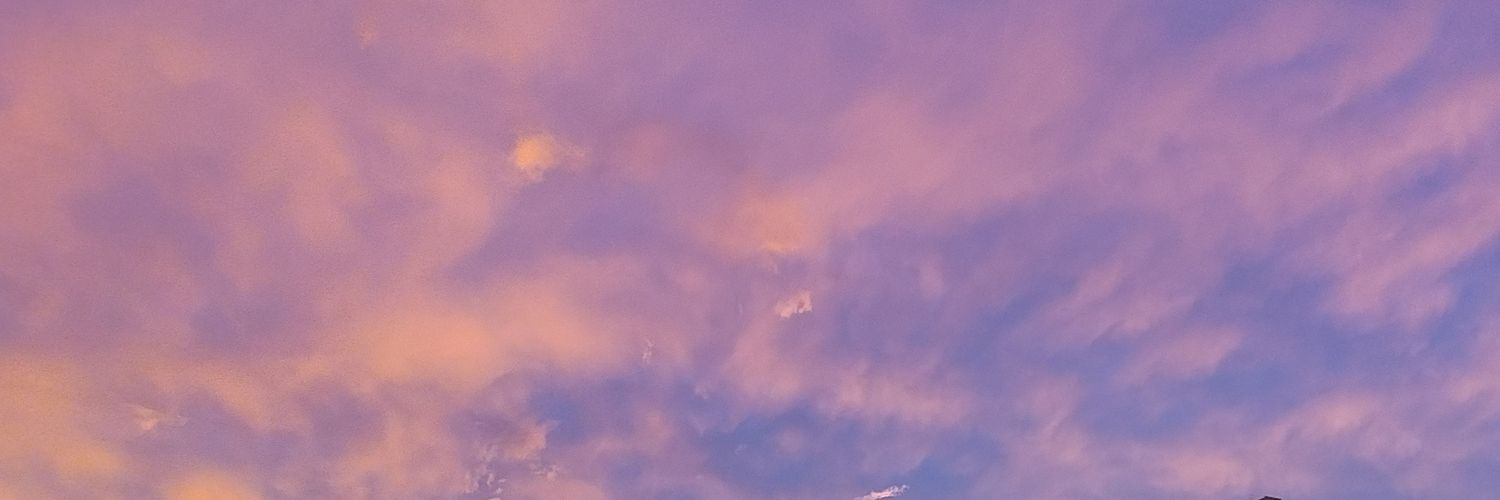 BrenBW_'s profile banner image