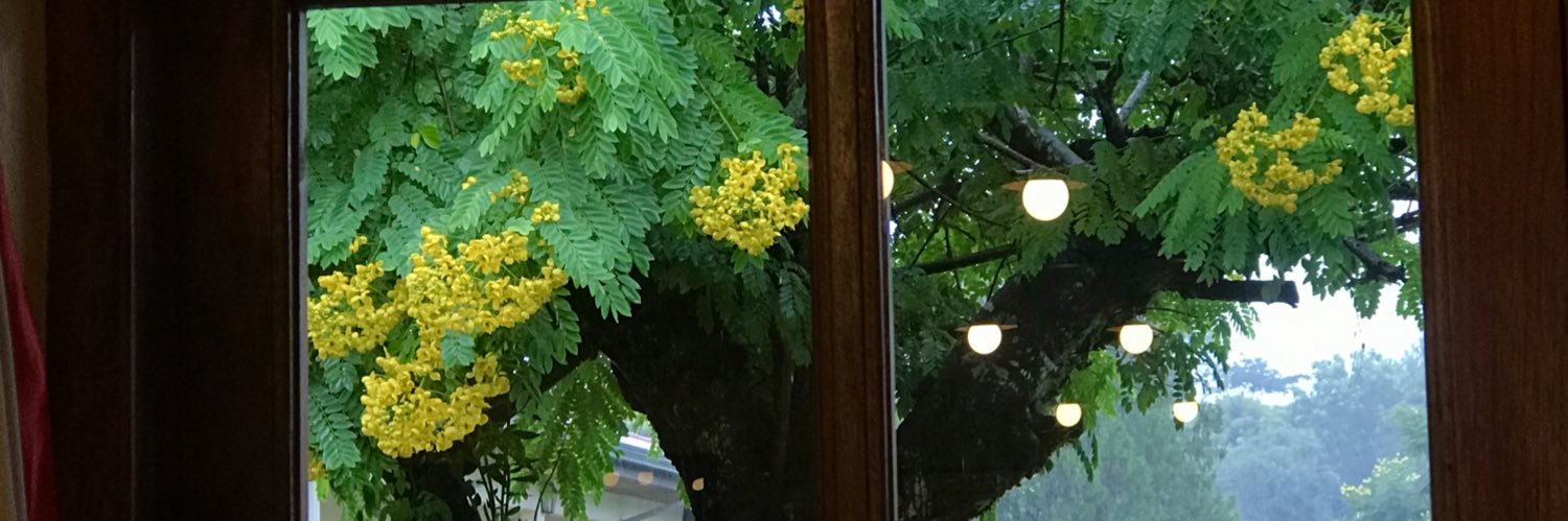 Naidasanchezper's profile banner image