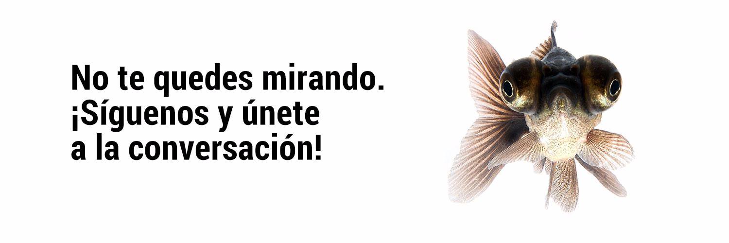 elycmarketing's profile banner image