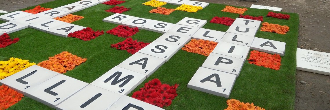 Fed.Int.Scrabble CAT banner