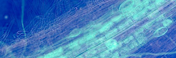 arb_myc Profile Banner
