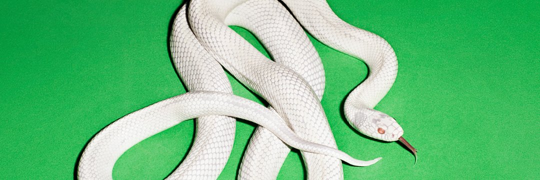 𝕊𝔼𝕍𝔼ℕ's banner