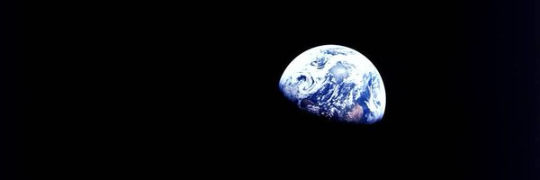 RoaredThat Profile Banner