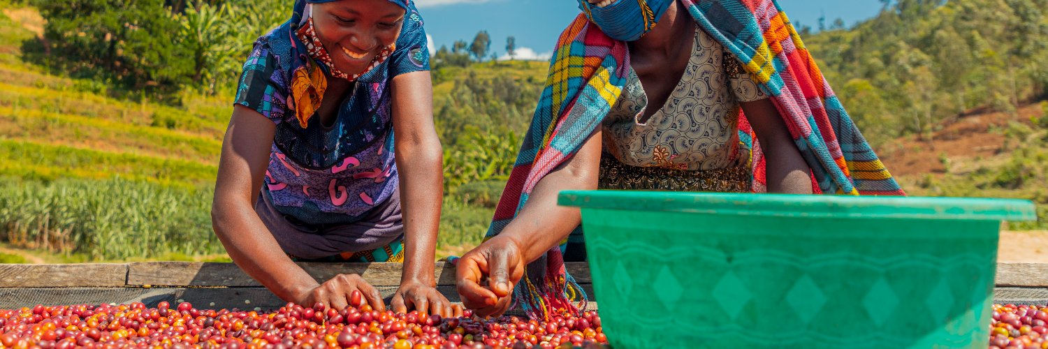 Matriarch Coffee banner