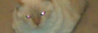 puncher69's profile banner image