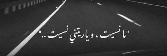 allaa_soliman's profile banner image