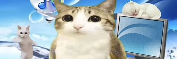 FinnyTheAngel's profile banner image