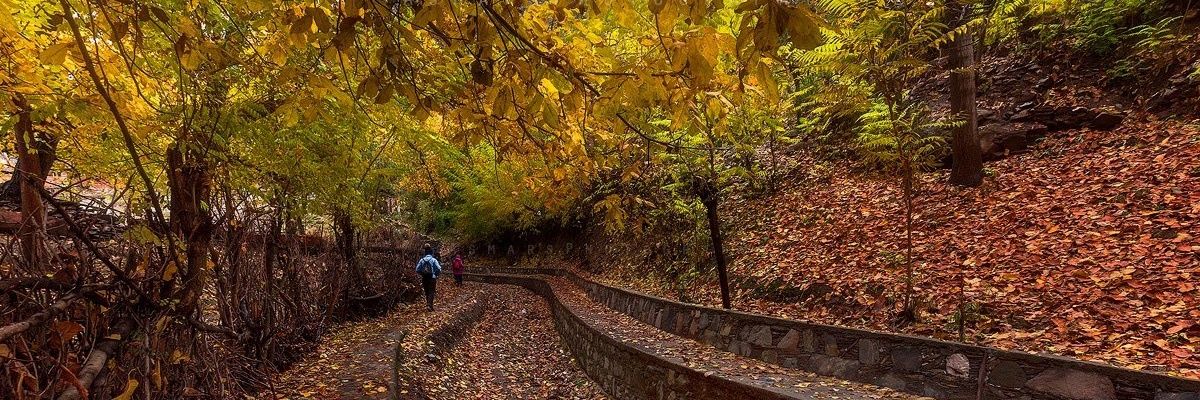 ÖZGÜK İRYNKÜZ banner