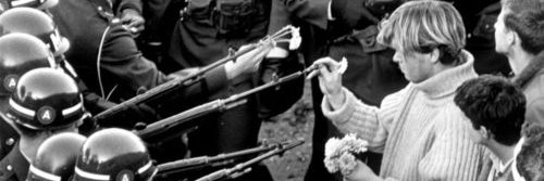 KristineMSyl's profile banner image