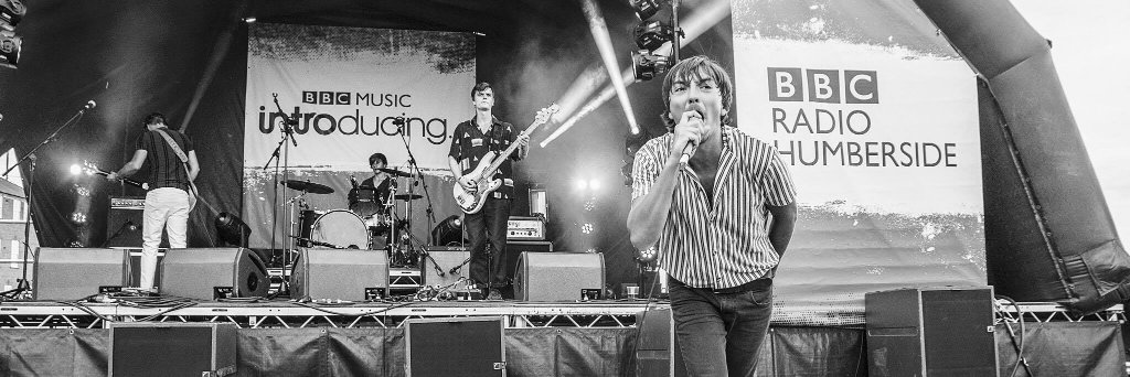 DEAD HORMONES banner