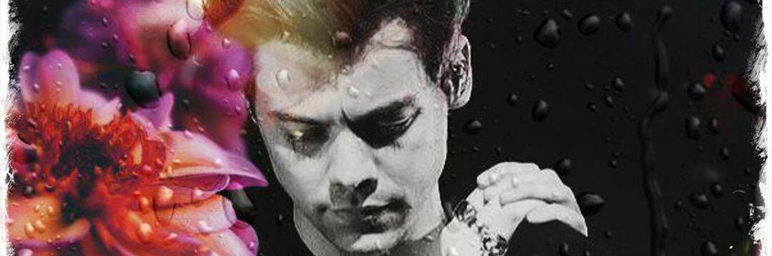 Victoria_Noel22's profile banner image