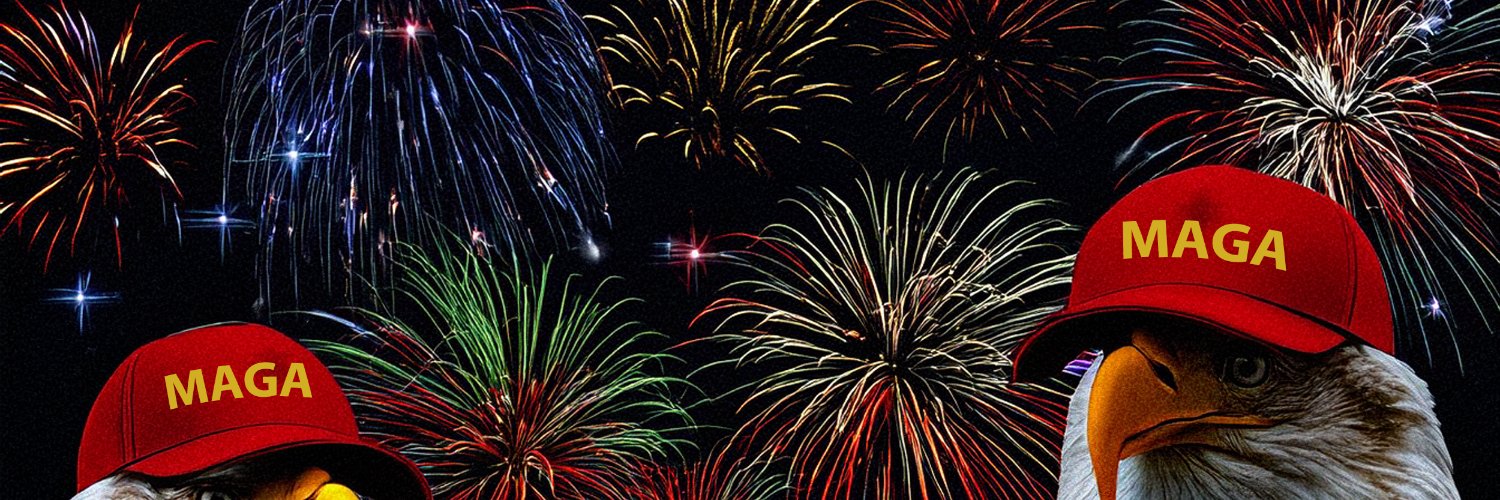 EagleSideEye's profile banner image
