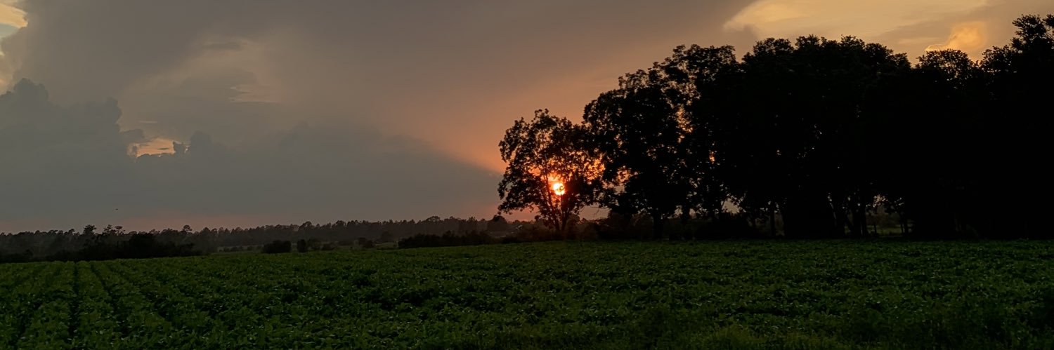 GJeanelys's profile banner image