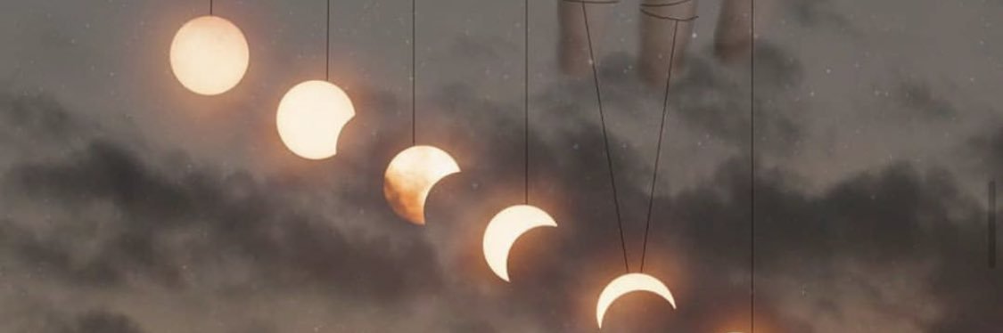 Meg_Cartwright's profile banner image