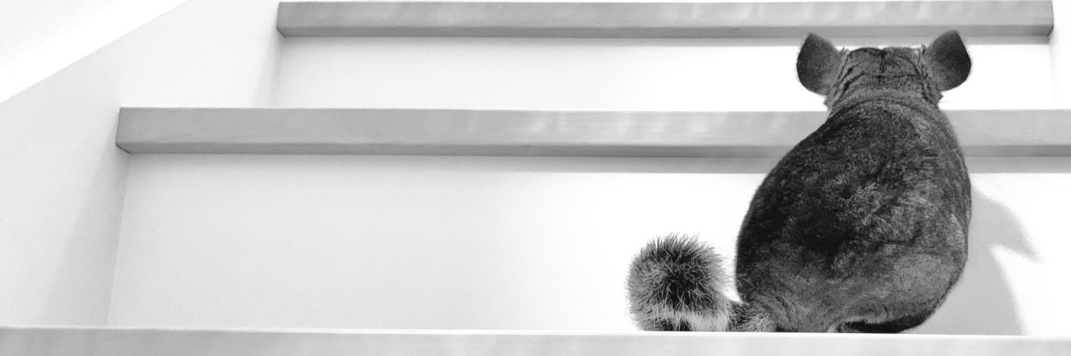 Youhi_Story's profile banner image