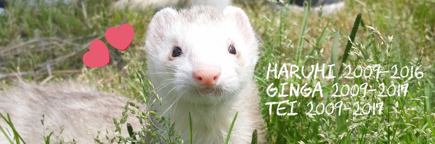 はるひ(しー)🦀 banner