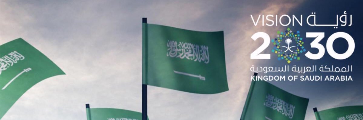Alialyami2010's profile banner image