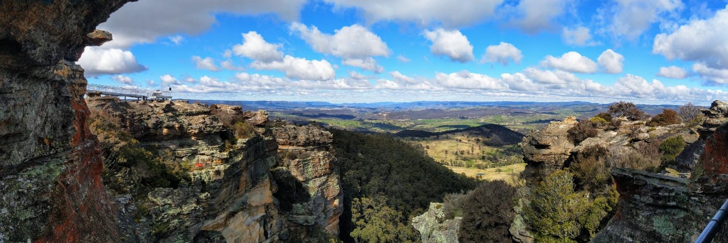 Klementine Burrell-Sander banner