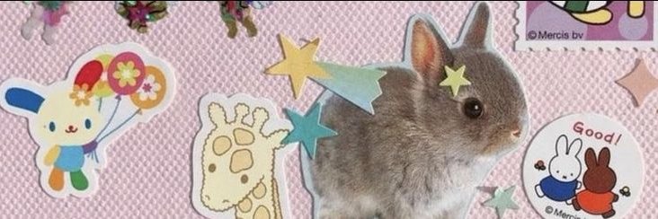 starrynoel2's profile banner image