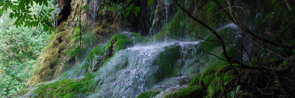 Careful with that Axe, Eugene! banner
