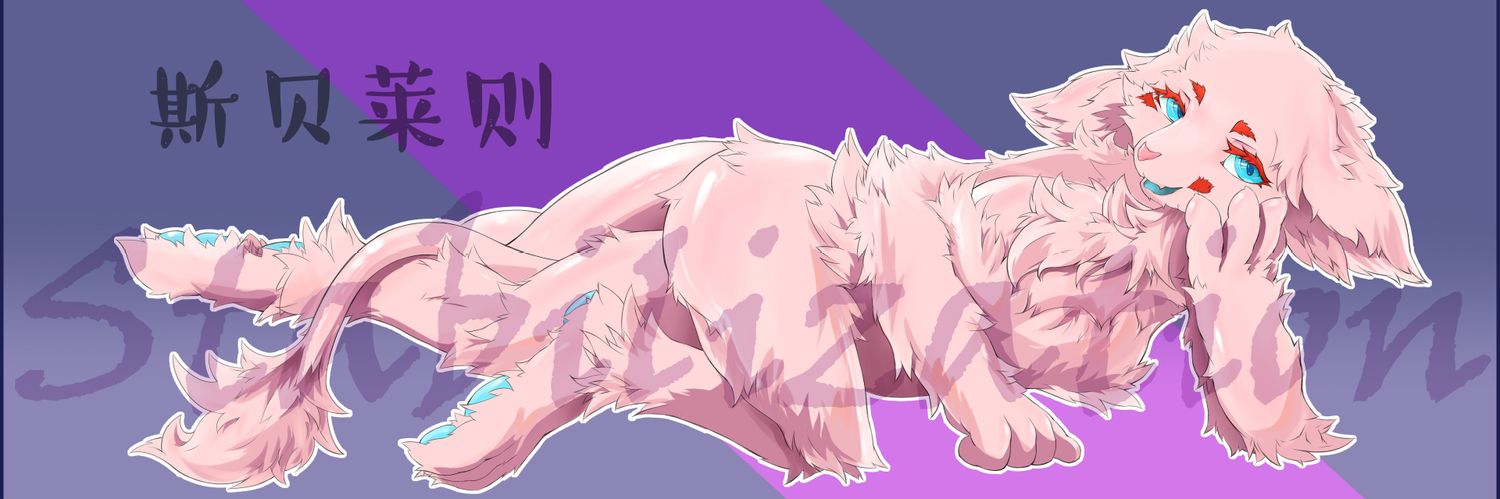 斯贝莱则 banner