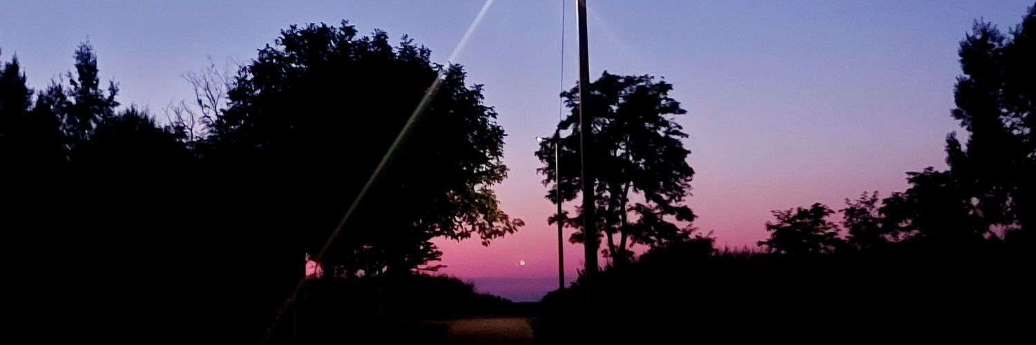 Ghost of a crow 🖤🎃👻✨🌕🎶🎵 banner