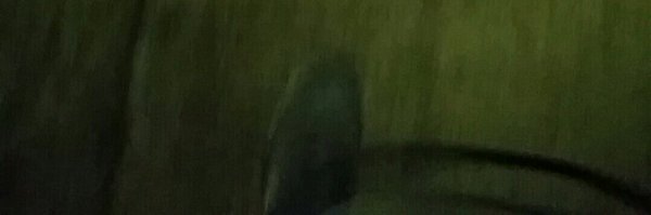 silversilentrd Profile Banner