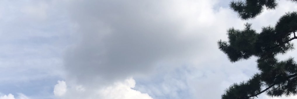 azx_xa1's profile banner image