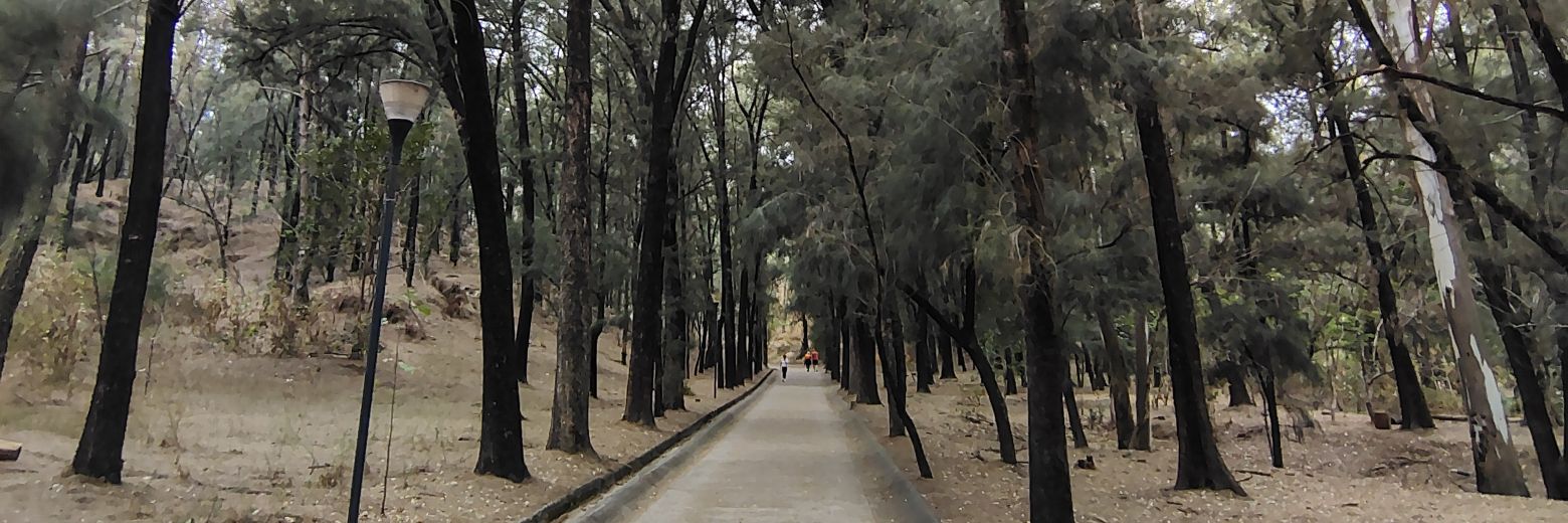 Manuel Rojas banner