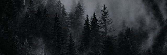 twilight edits banner
