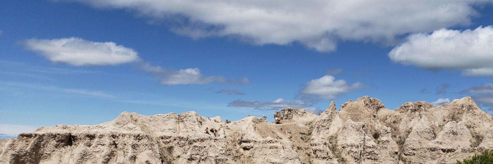 broface98's profile banner image
