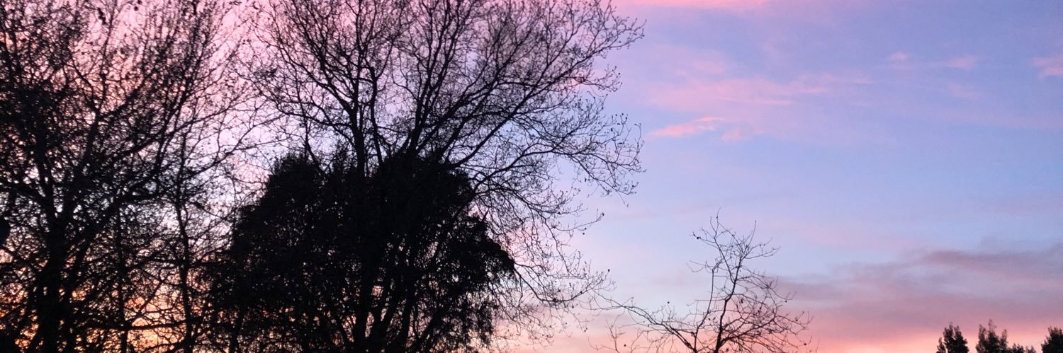sofifedez_'s profile banner image