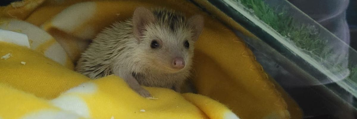 KatyCalderoon's profile banner image