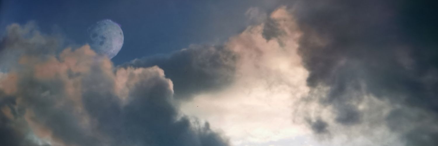 Camille Boulenguer banner