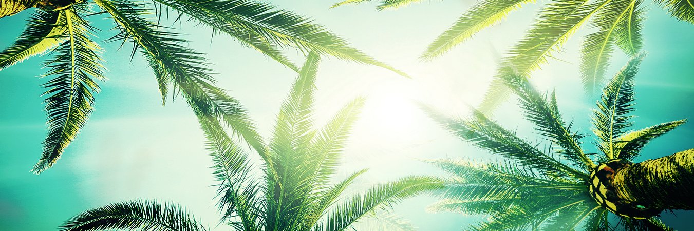 SoloPrinting's profile banner image