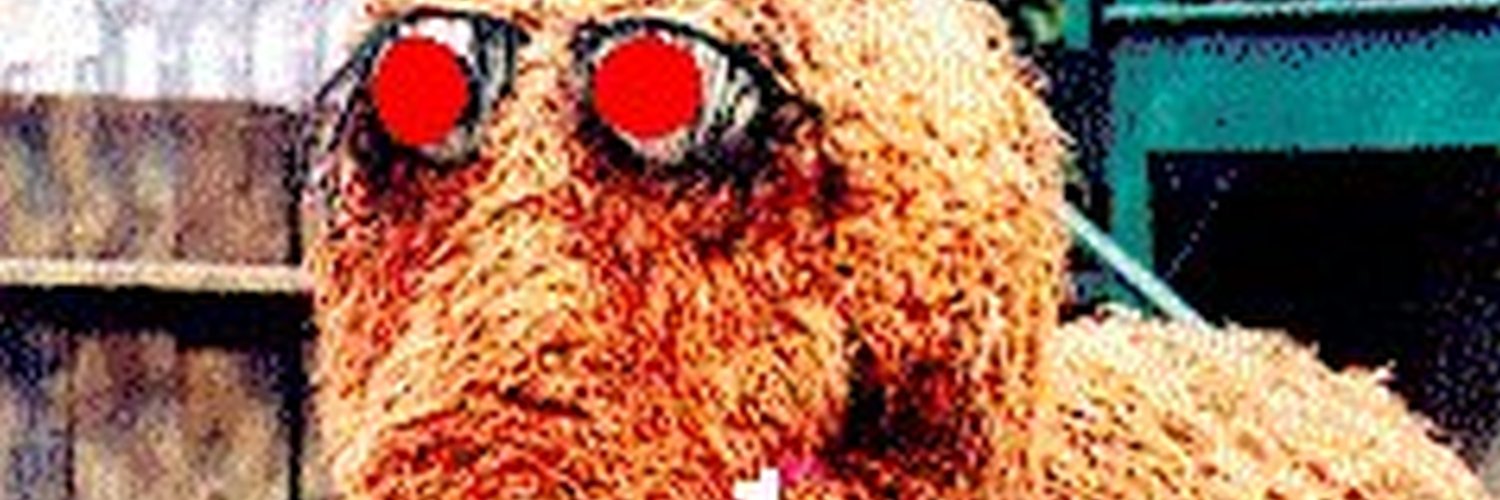 jblosun's profile banner image
