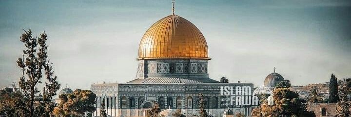 SyedFai46978073's profile banner image