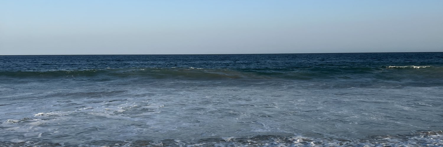 frxances's profile banner image