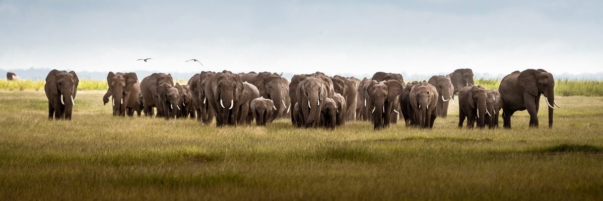 Fikafrika's profile banner image