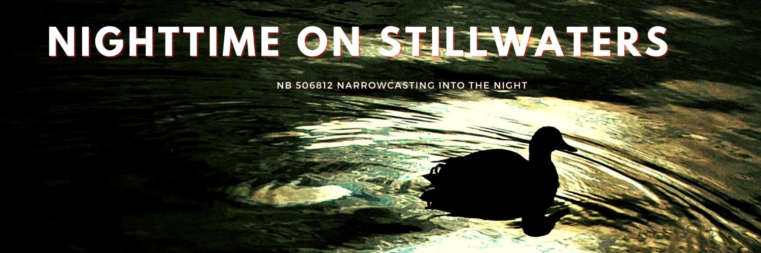 noswpodcast's profile banner image