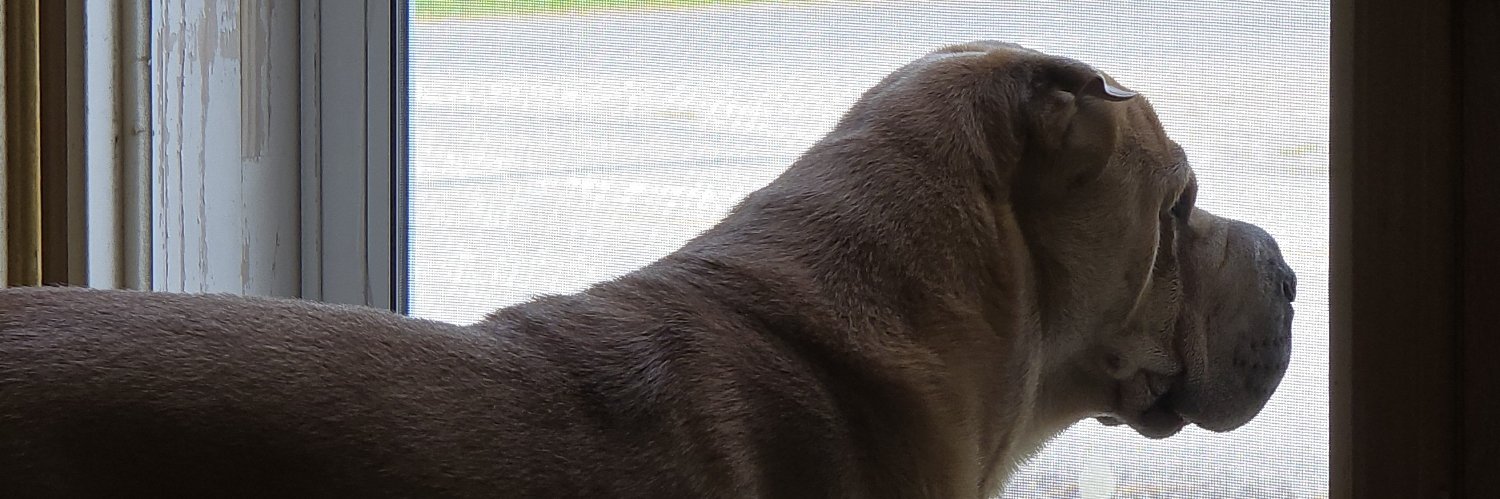 pctechgod's profile banner image