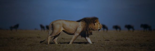 AArbabi's profile banner image