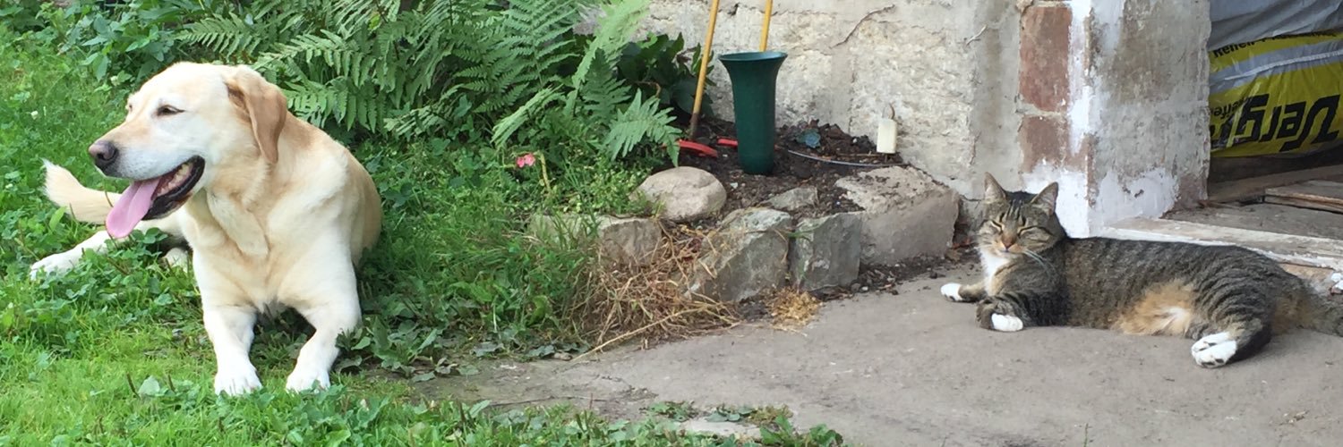 Sabine Berninger banner