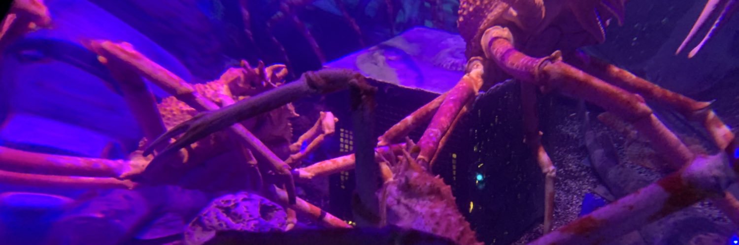 知江崎ハルカ@翠座主宰 banner