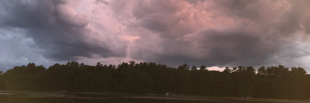 Taylor Pippin banner