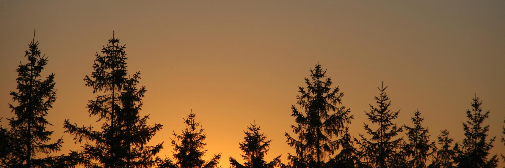 erikawh0's profile banner image