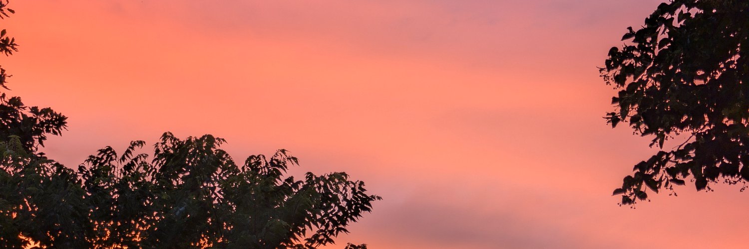 verilogmoder's profile banner image