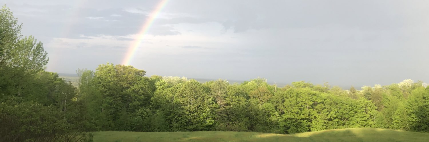 AnnaBerczi's profile banner image