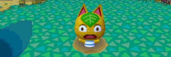 Staticcle Profile Banner