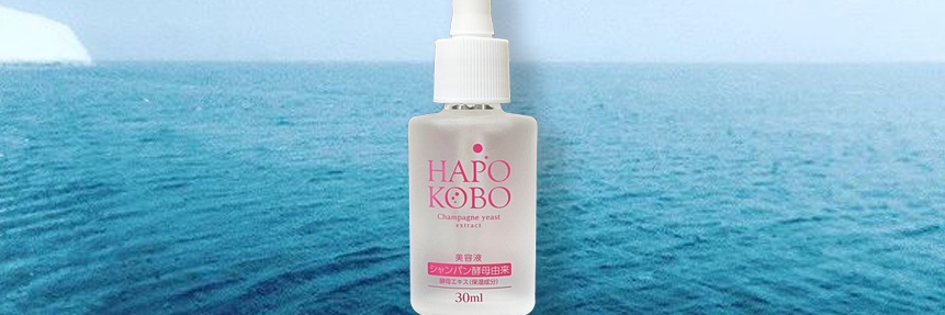 hapokobo's profile banner image
